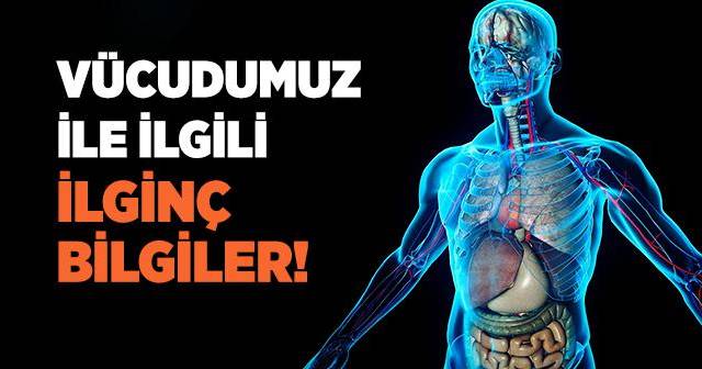 Vücudumuz İle İlgili Bilgiler…