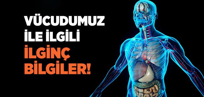 Vücudumuz İle İlgili Bilgiler…